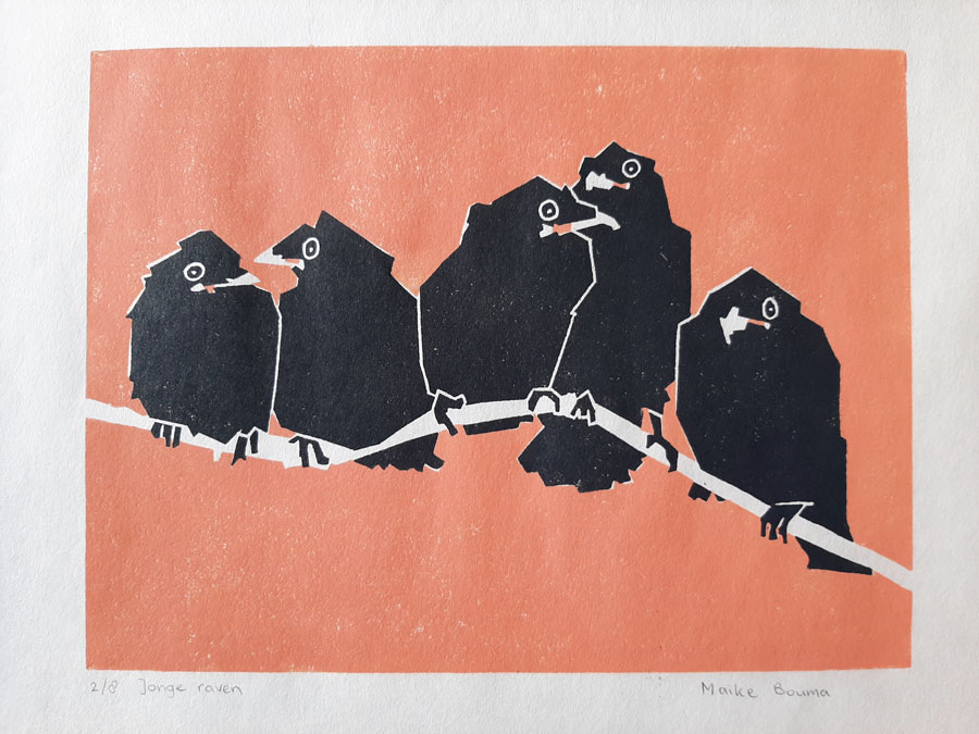 Jonge Raven - Afbeelding 2